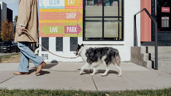 Move to Maven | Neighborhood Feature & Gift Guide