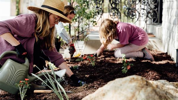 Life in Your Space | Lemonade + Dirt Therapy